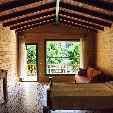 Ekinoks Hotel - Adults Only Çıralı Cameră foto